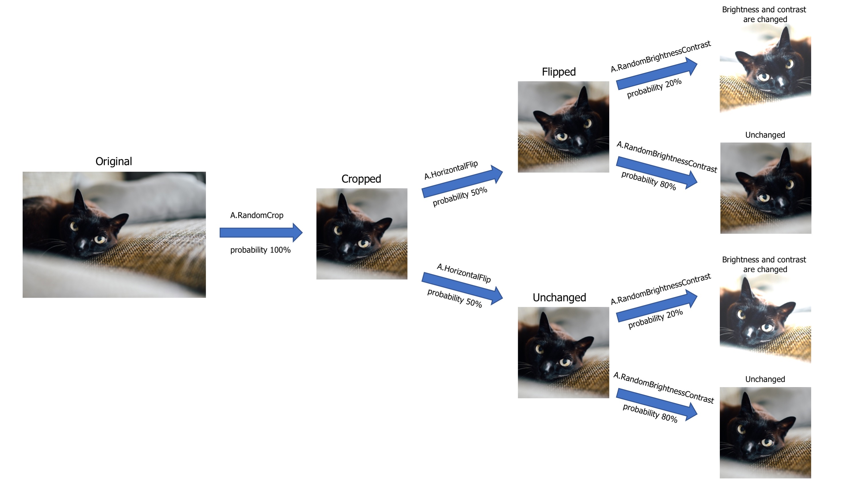 A visualized version of the augmentation pipeline