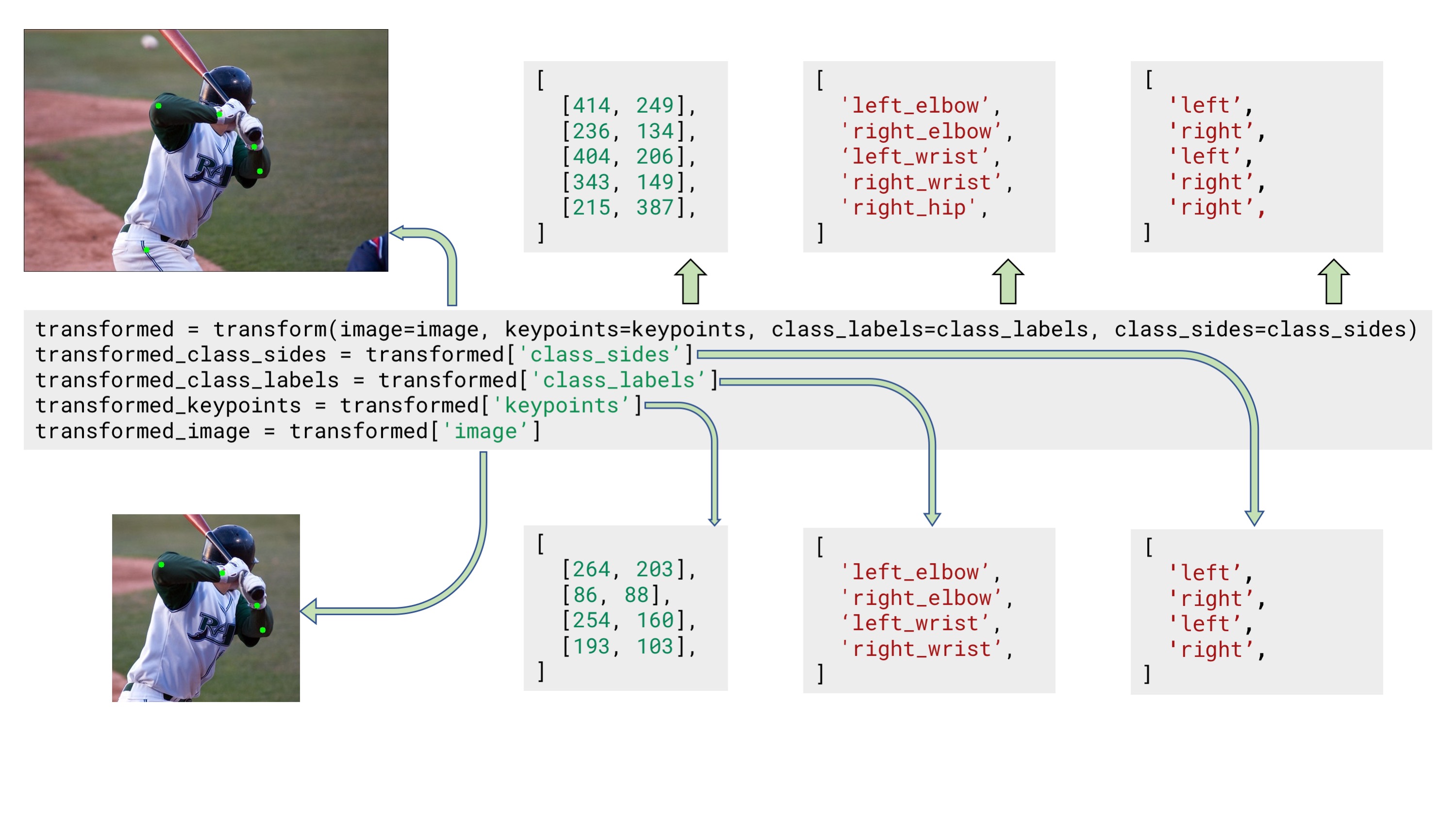 Example input and output data for keypoints augmentation with two separate arguments for class labels