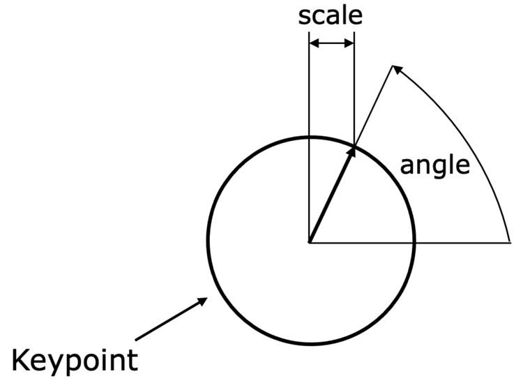 A keypoint may also has associated scale and angle values.