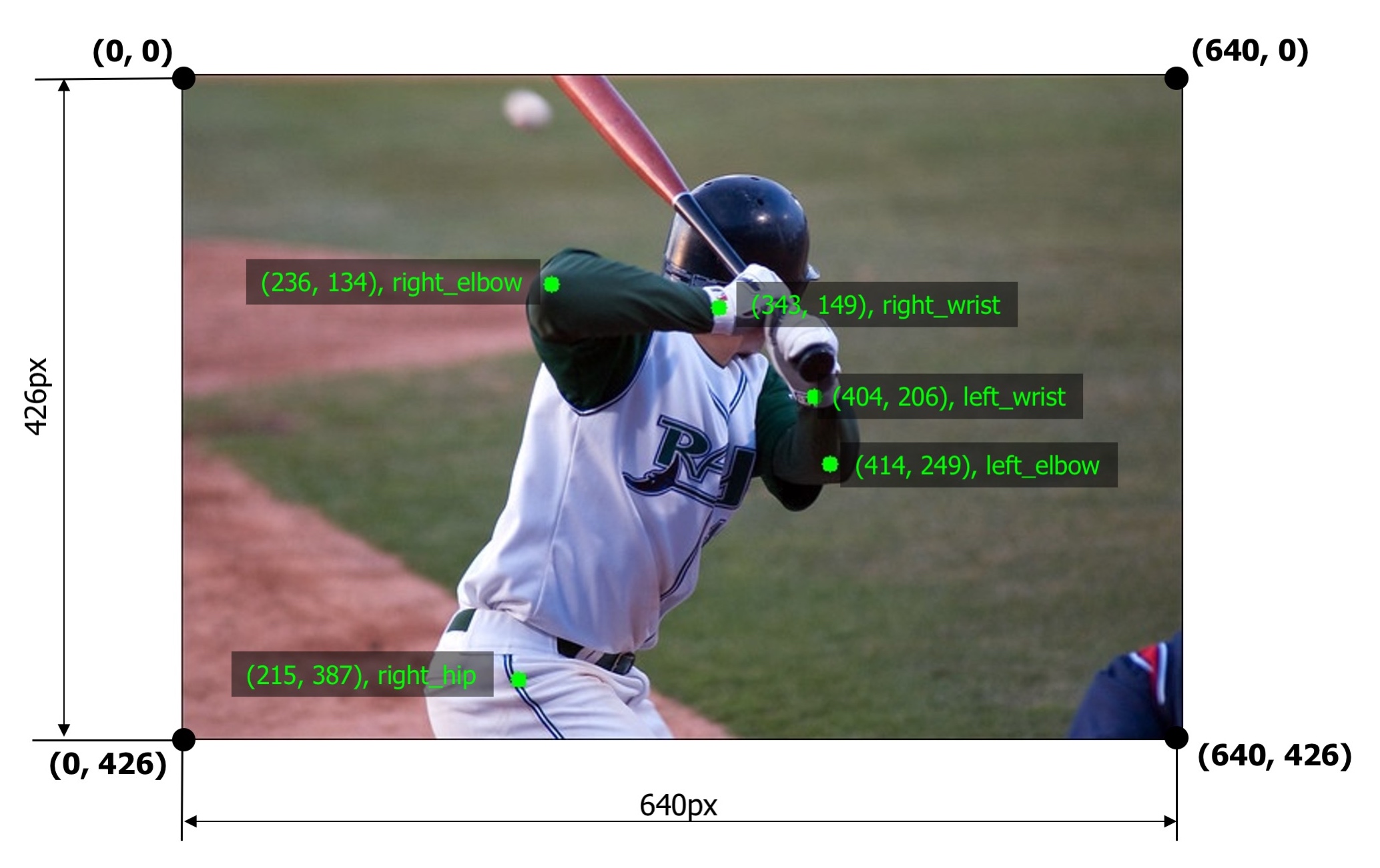 An example image with five keypoints from the COCO dataset