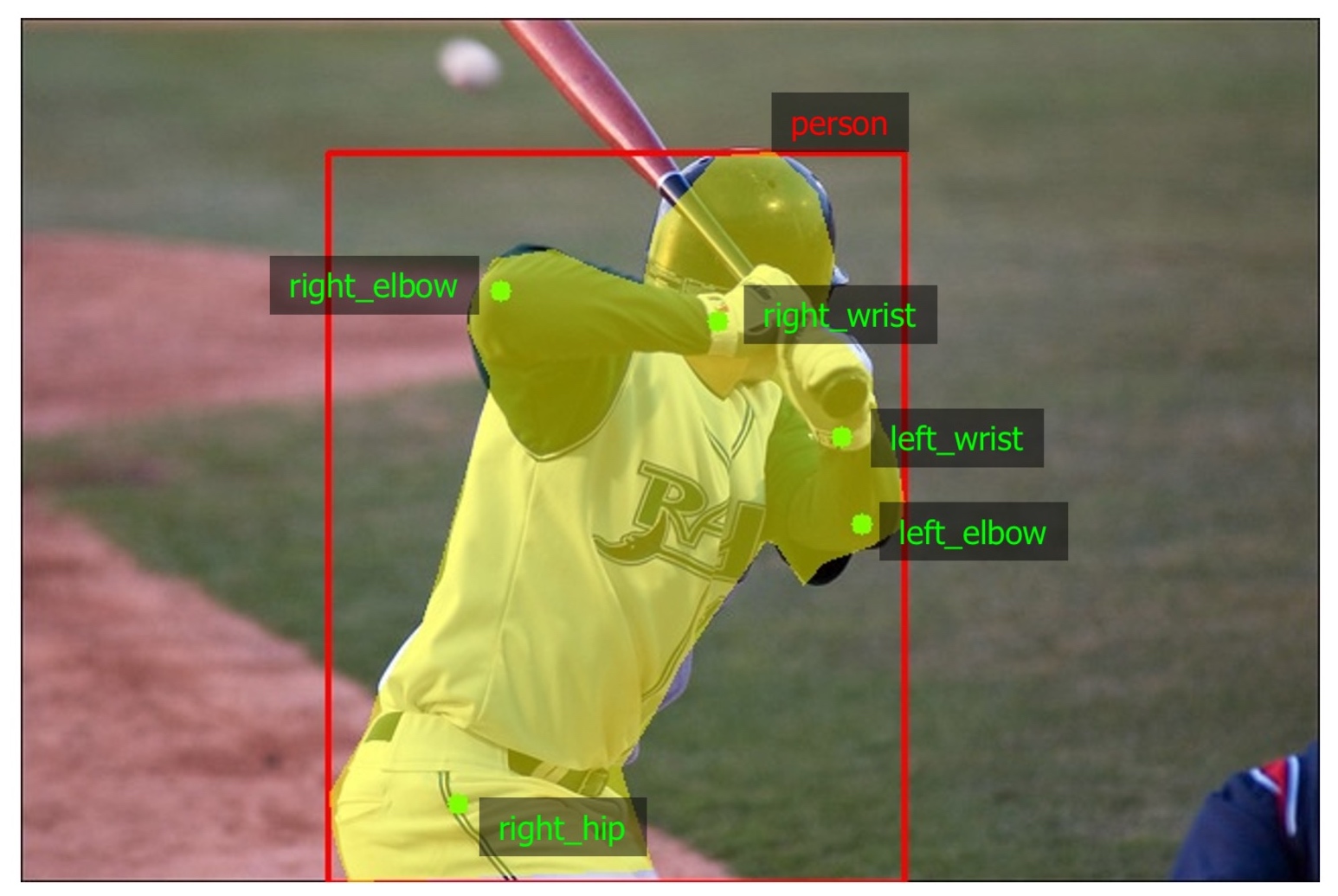 An example image with mask, bounding boxes and keypoints