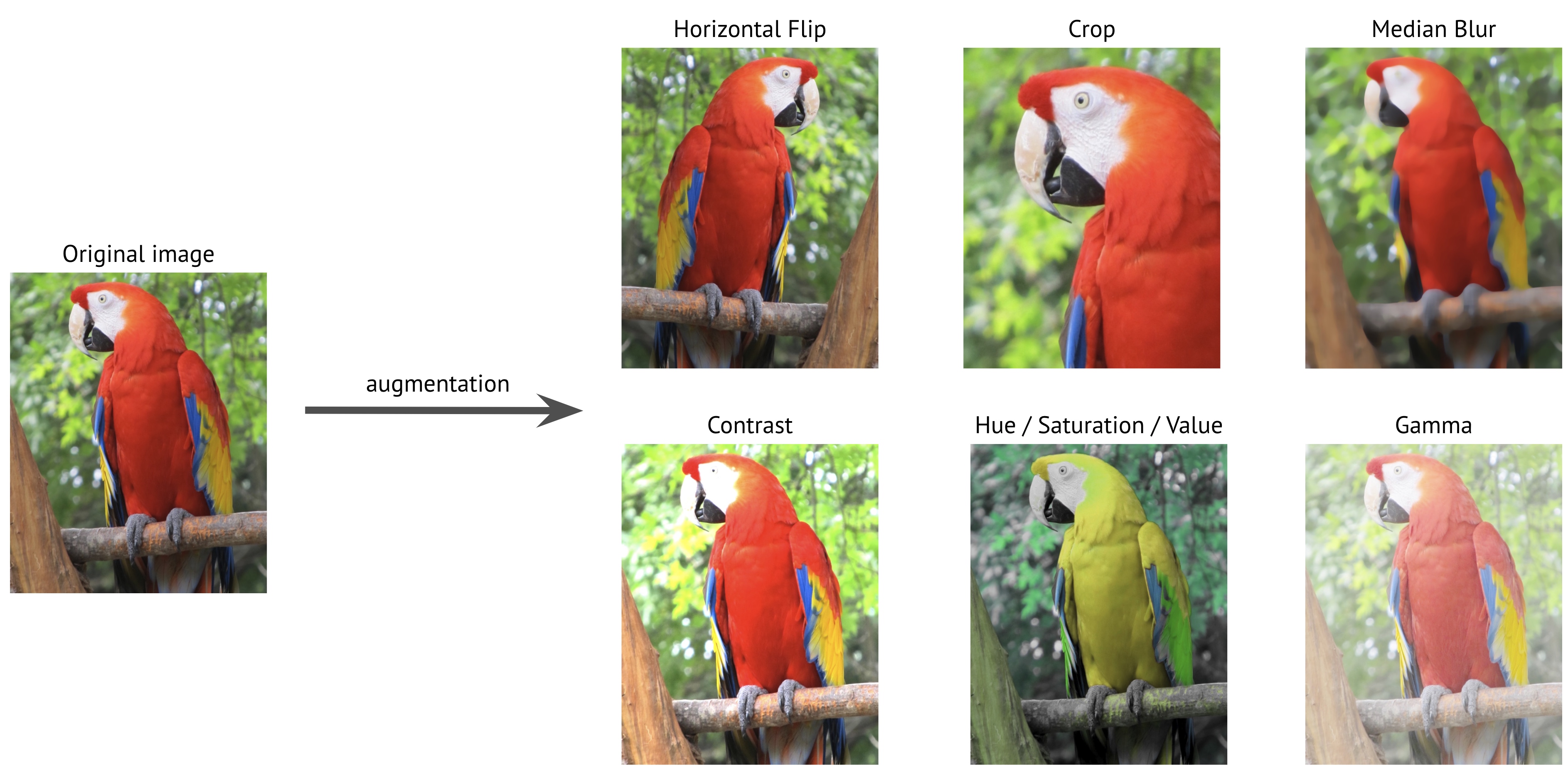 Image augmentation examples